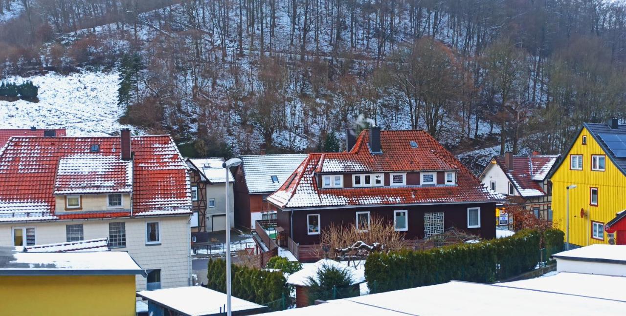 Arode Huette Harzilein - Romantic Tiny House On The Edge Of The Forest Zorge Eksteriør billede